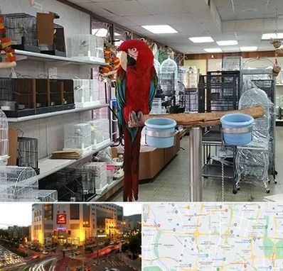 پرنده فروشی در جنت آباد تهران 