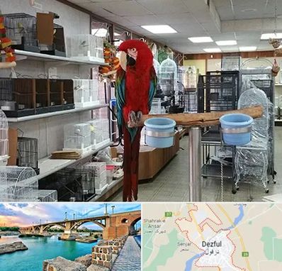 پرنده فروشی در دزفول