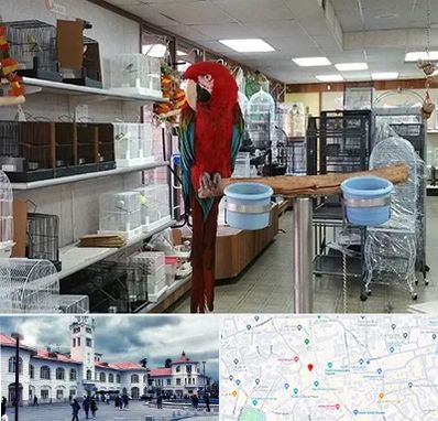 پرنده فروشی در میدان شهرداری رشت 