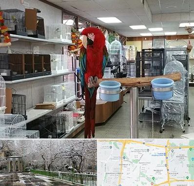 پرنده فروشی در باغ فیض