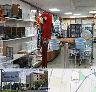 پرنده فروشی در فاز یک اندیشه