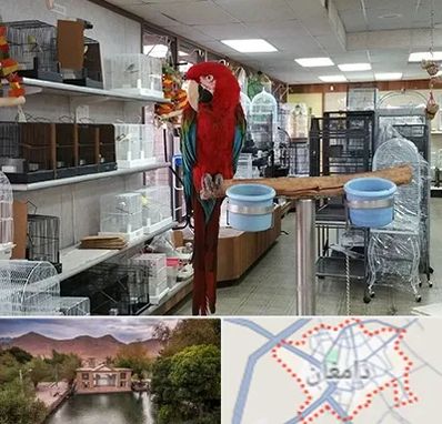 پرنده فروشی در دامغان