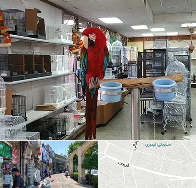 پرنده فروشی در خیابان قزوین