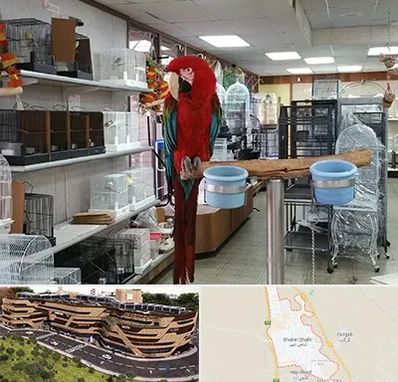 پرنده فروشی در شاهین شهر