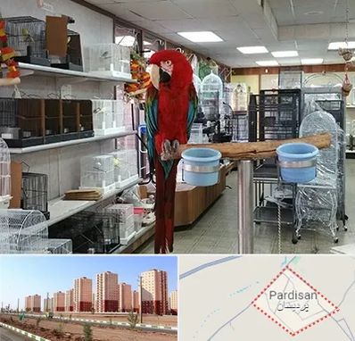 پرنده فروشی در پردیسان قم