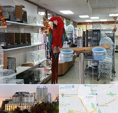 پرنده فروشی در فرشته 