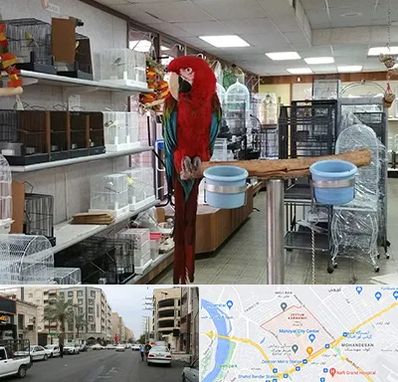 پرنده فروشی در زیتون کارمندی اهواز 