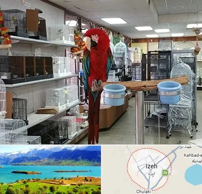پرنده فروشی در ایذه