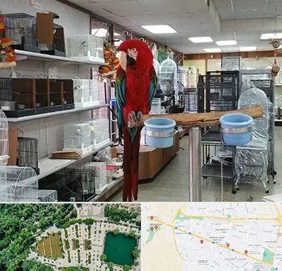 پرنده فروشی در وکیل آباد مشهد 