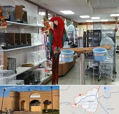 پرنده فروشی در ایرانشهر