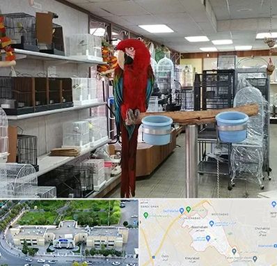 پرنده فروشی در نسیم شهر