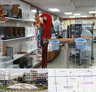 پرنده فروشی در مرکز تهران