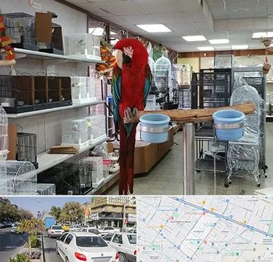 پرنده فروشی در مفتح مشهد 