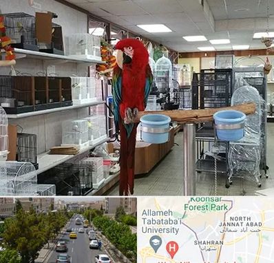 پرنده فروشی در شهران 