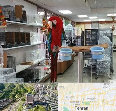 پرنده فروشی در شمال تهران 