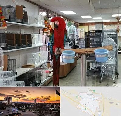 پرنده فروشی در قوچان