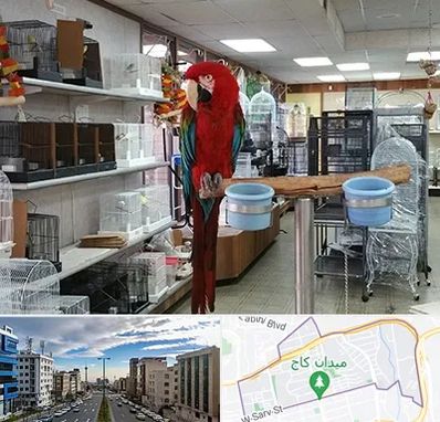 پرنده فروشی در سعادت آباد 