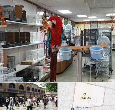 پرنده فروشی در بازار تهران