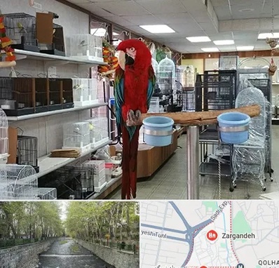 پرنده فروشی در زرگنده