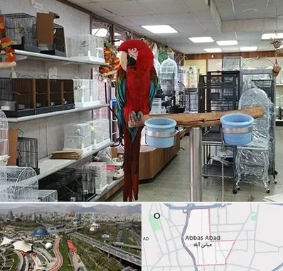پرنده فروشی در عباس آباد تهران