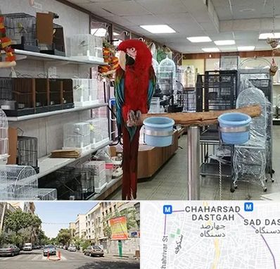 پرنده فروشی در چهارصد دستگاه 