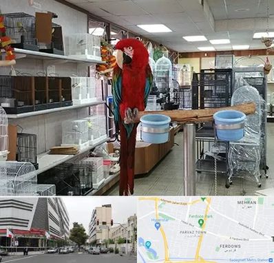 پرنده فروشی در بلوار فردوس 