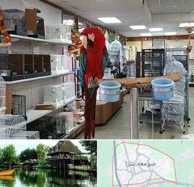 پرنده فروشی در صومعه سرا