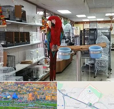 پرنده فروشی در رشدیه تبریز