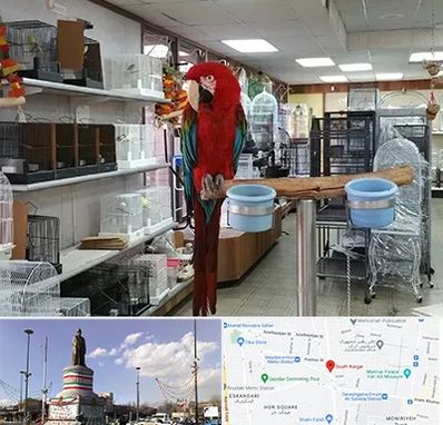 پرنده فروشی در کارگر جنوبی 