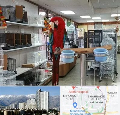پرنده فروشی در شهرک غرب 