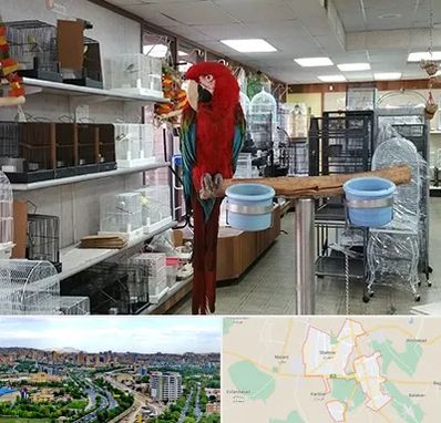 پرنده فروشی در شهریار