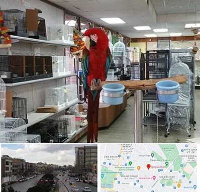 پرنده فروشی در بلوار فردوسی مشهد 