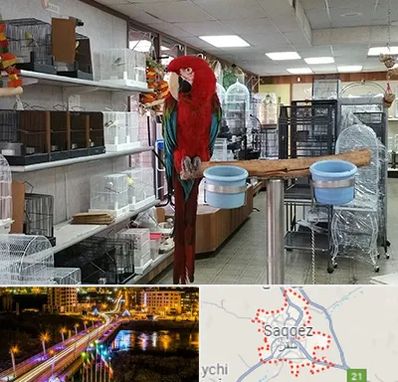 پرنده فروشی در سقز