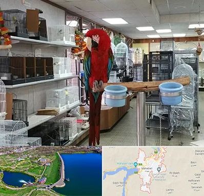 پرنده فروشی در مهاباد