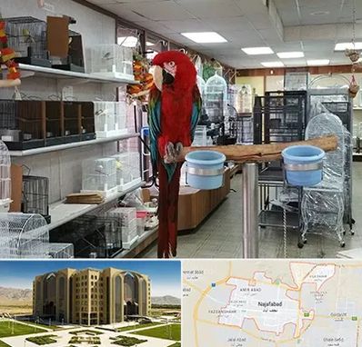 پرنده فروشی در نجف آباد