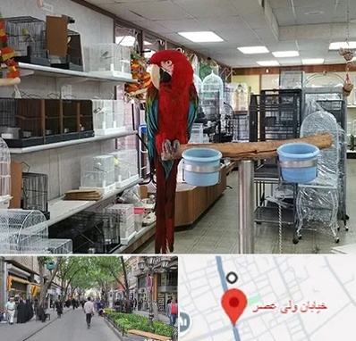 پرنده فروشی در ولیعصر شهریار