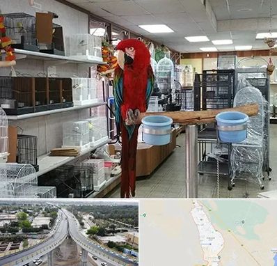 پرنده فروشی در اندیمشک