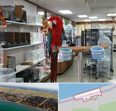 پرنده فروشی در ایزدشهر