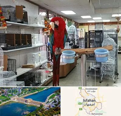 پرنده فروشی در اصفهان