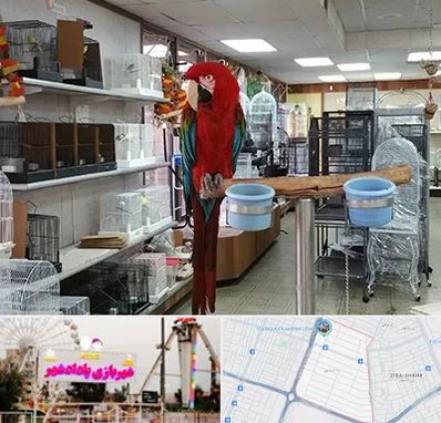 پرنده فروشی در پادادشهر اهواز