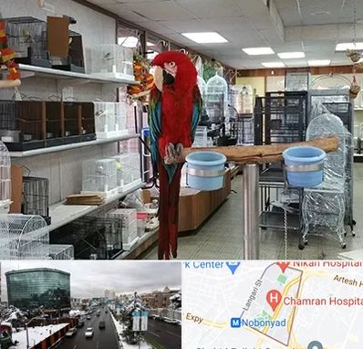 پرنده فروشی در اقدسیه 