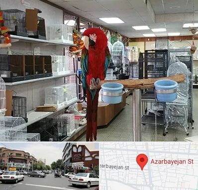 پرنده فروشی در خیابان آذربایجان