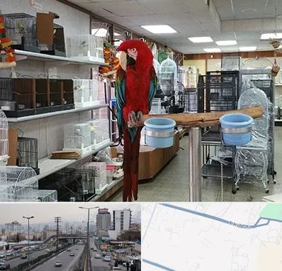 پرنده فروشی در بلوار ارتش