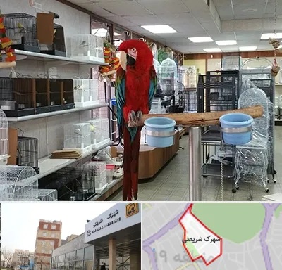 پرنده فروشی در شهرک شریعتی