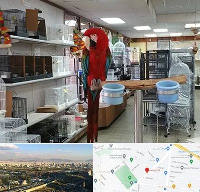 پرنده فروشی در هنگام 