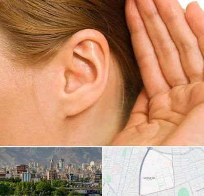 درمان وزوز گوش در جمشیدیه