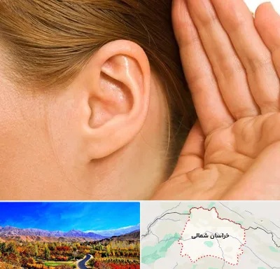 درمان وزوز گوش در خراسان شمالی