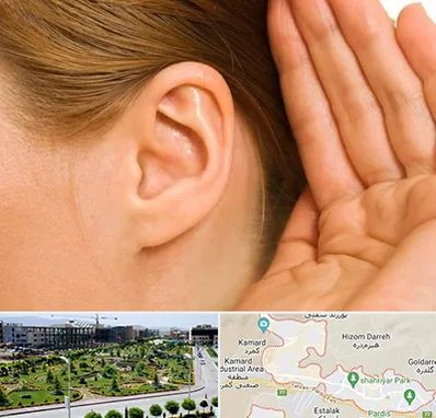 درمان وزوز گوش در پردیس