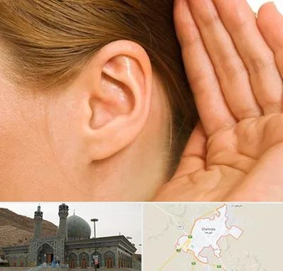 درمان وزوز گوش در شهرضا