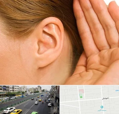 درمان وزوز گوش در خیابان دامپزشکی